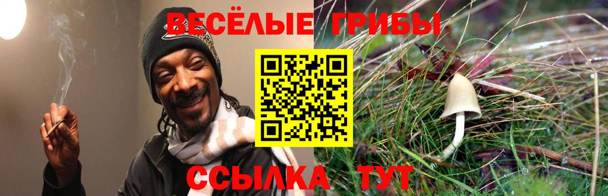 Якутск  Галлюциногенные грибы Magic Shrooms  Псилоцибиновые грибы Psilocybine cubensis  Вход с VPN 
